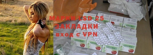таблы Ельня